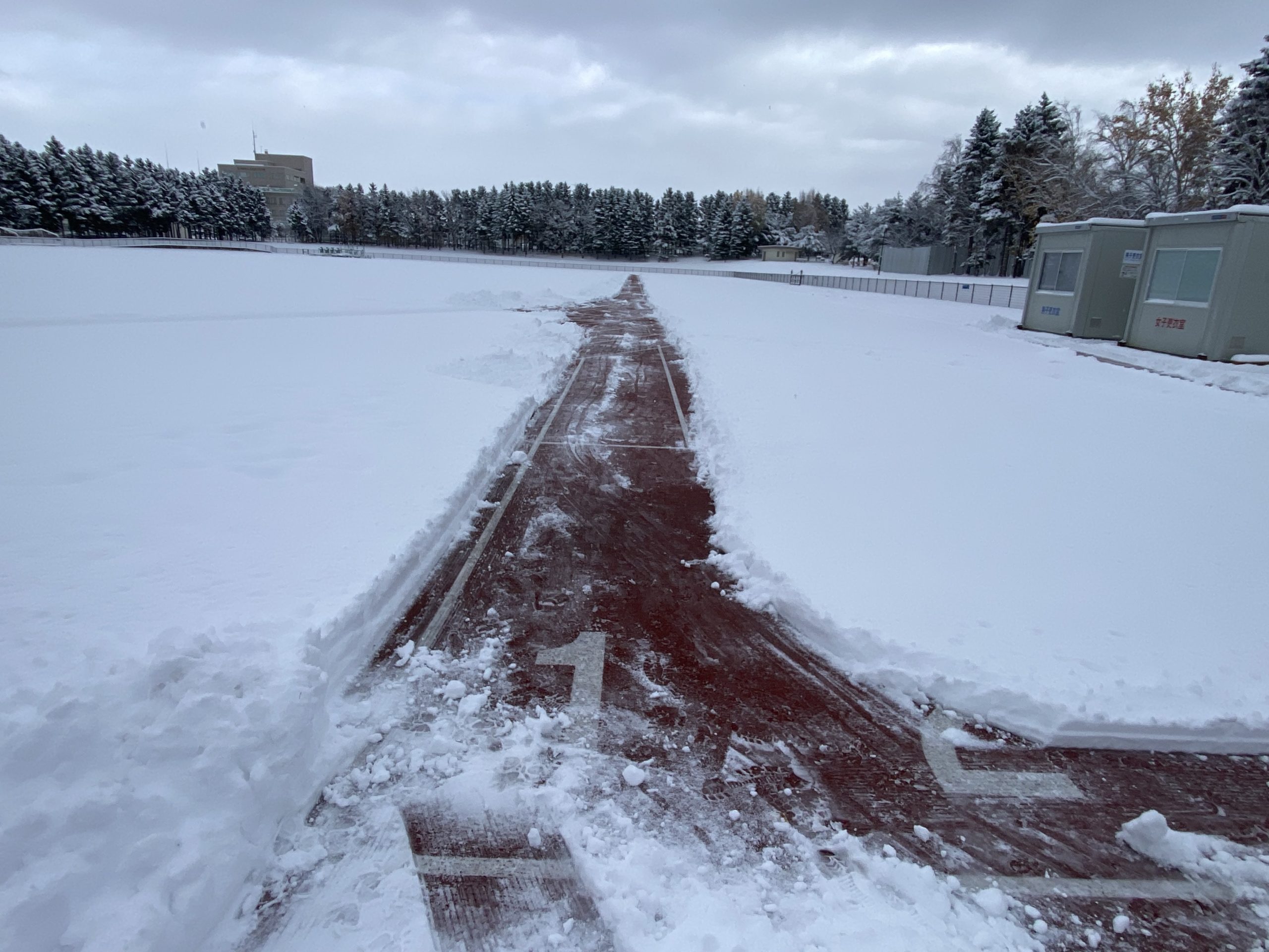 本日11月8日(土)の一般開放(陸上)について画像