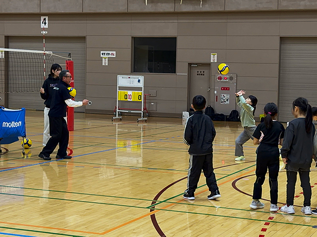 ジュニアバレーボール（低学年）