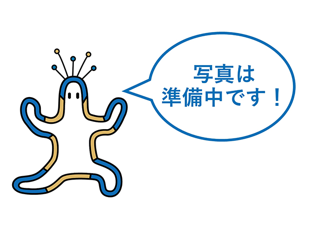 カジュアルホッケー(低学年)